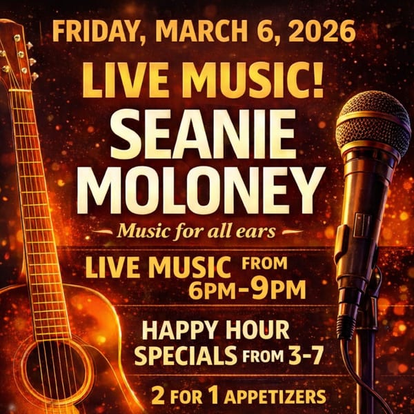 A promotional poster for live music featuring Seanie Moloney, with a guitar and microphone against a fiery background.